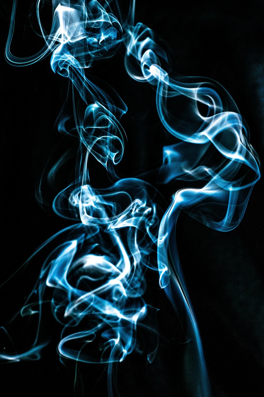 Fresh blueberries and mint leaves illustrating berry and menthol vape flavors